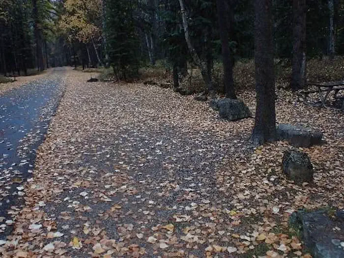 A44