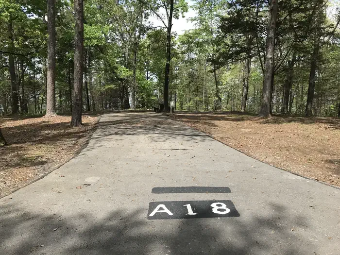 A18