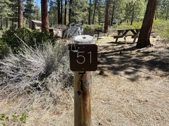 51