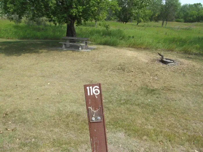 116