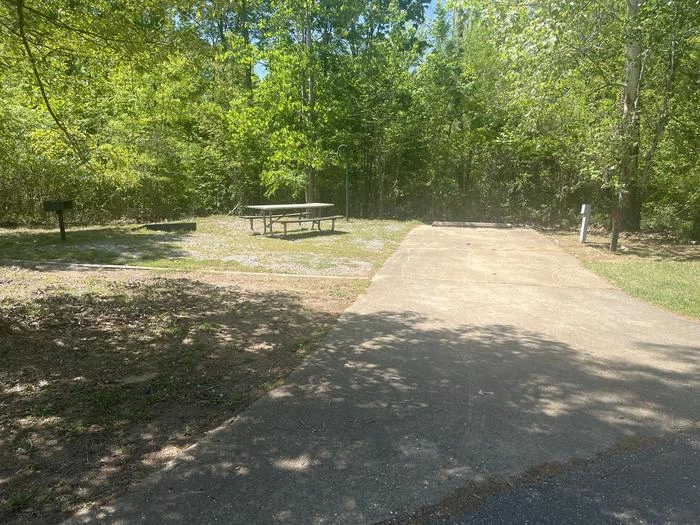 Site 55