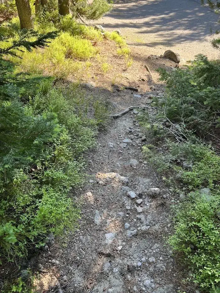 Lewis Lake site #4