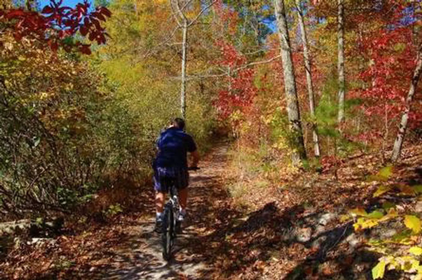 Chilhowee Campground