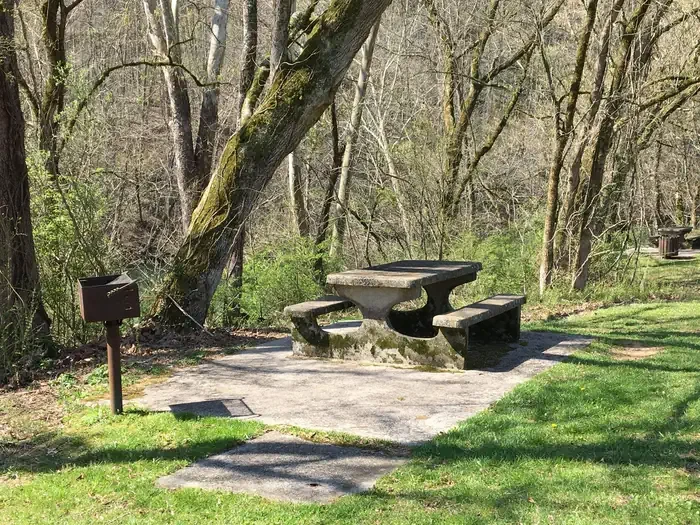 L1-Picnic Shelter