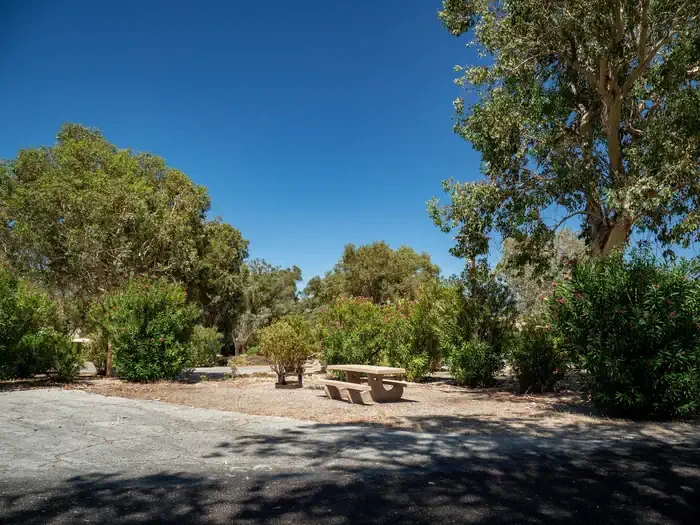 Site 50