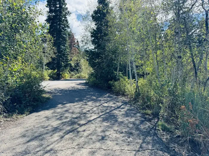 B09