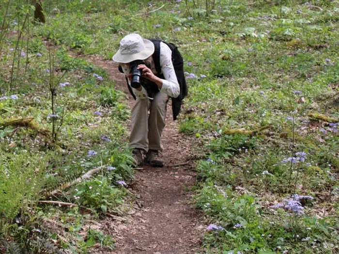 Whiteoak Sink Group Hiking Permits