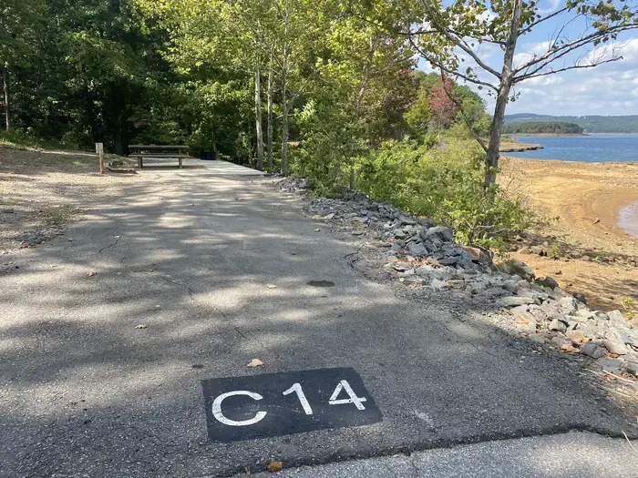 C14