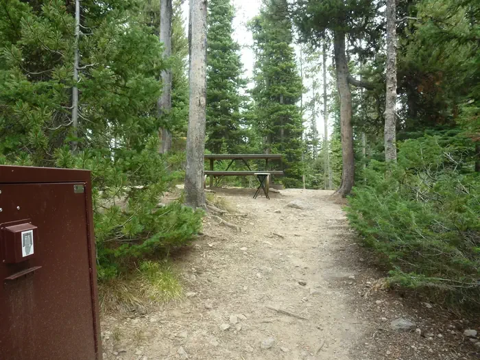 Lewis Lake site #47