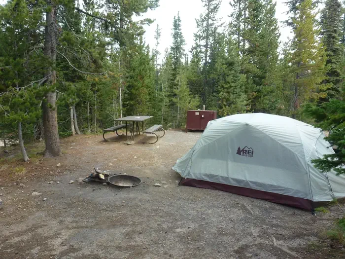 Lewis Lake site #21