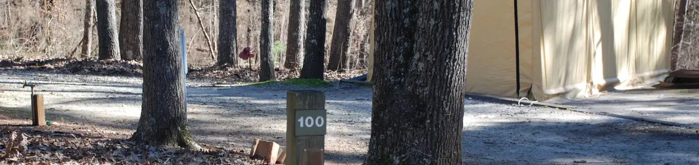 100
