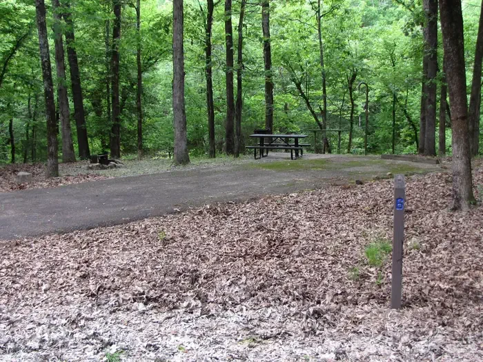 Site 6