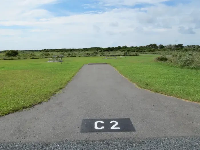 C002