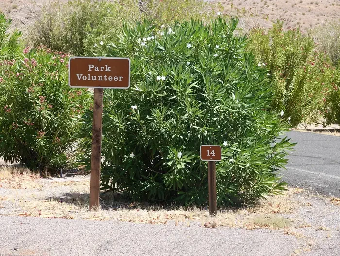 Site 14