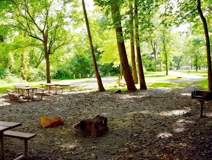 McCoy's Ferry Campground