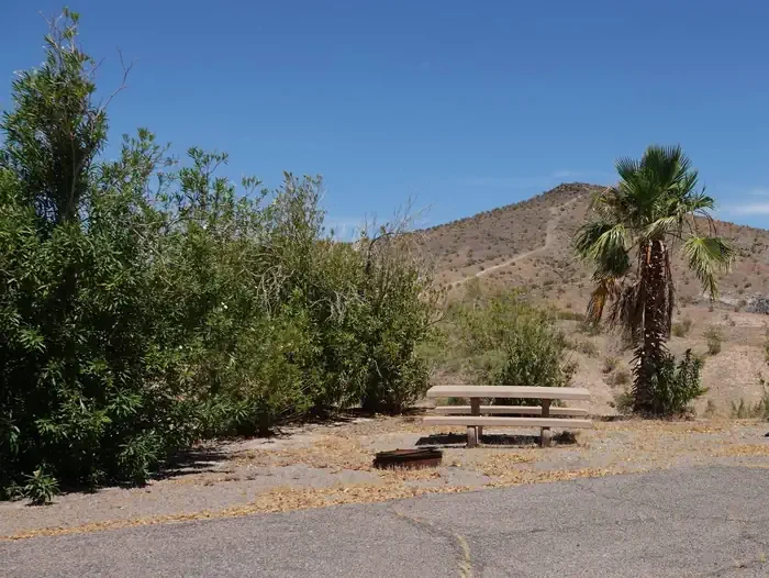 Site 41