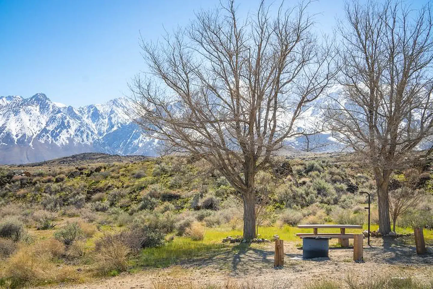 Goodale Creek Campground