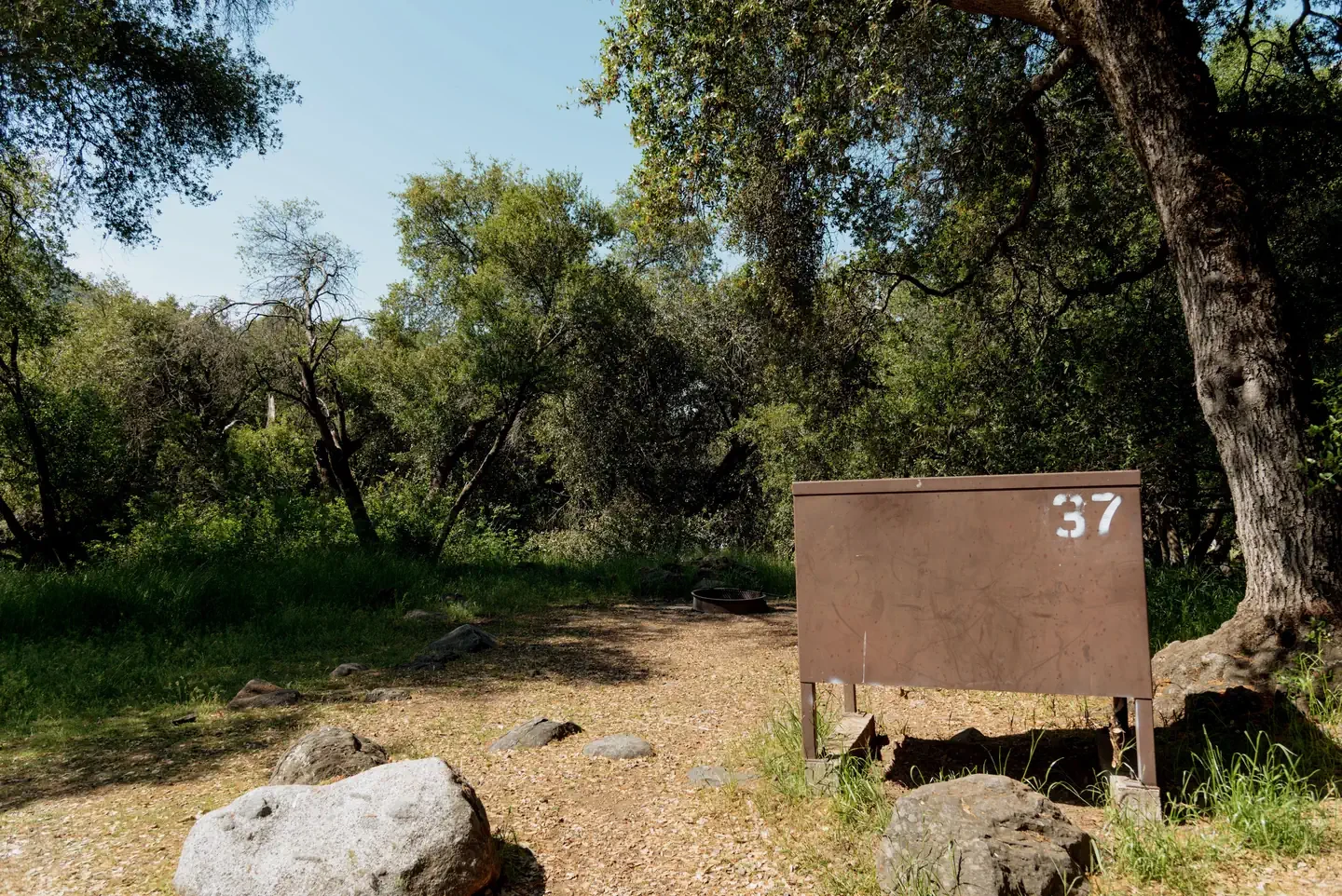 37