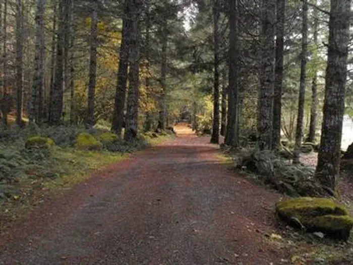 Sunnyside Campground