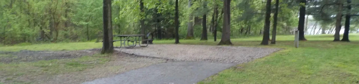 141