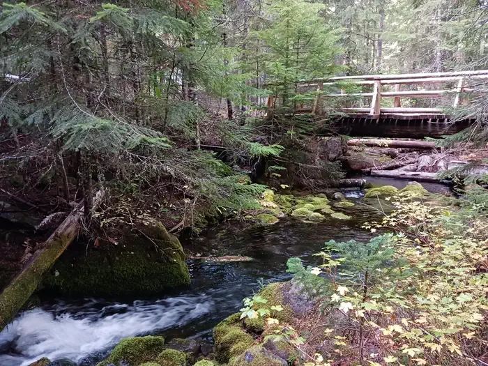 Skookum Creek Campground