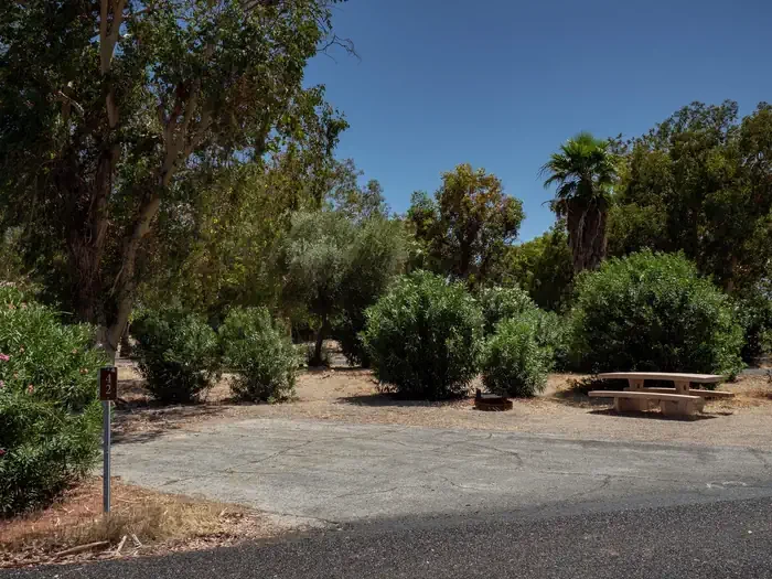 Site 42