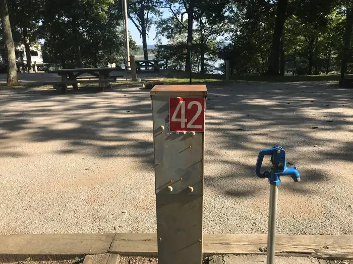 42