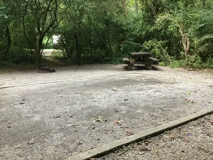 127