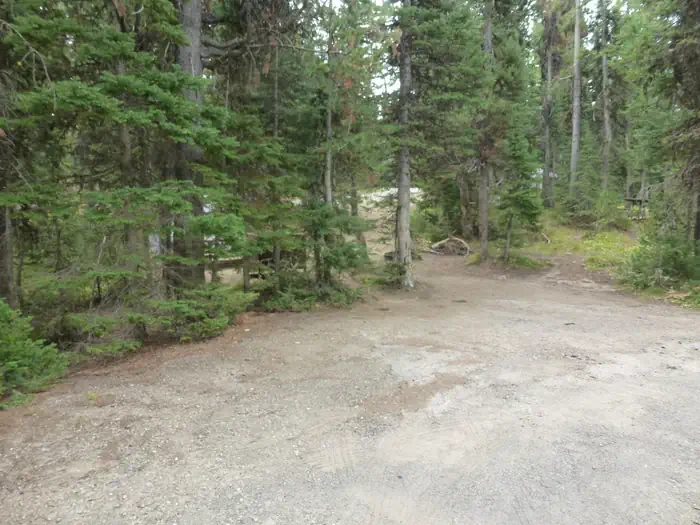 Lewis Lake site #65