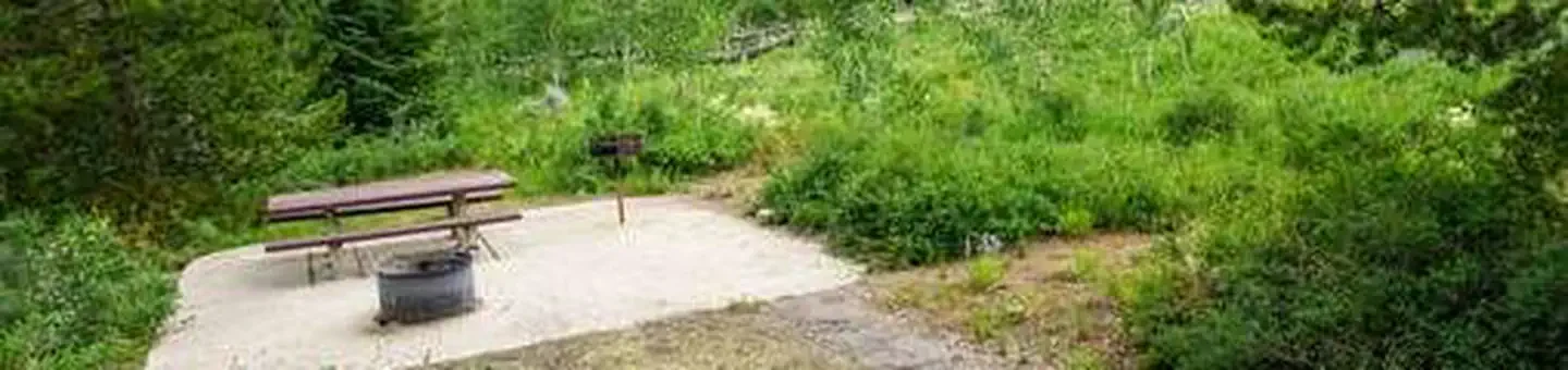 C14