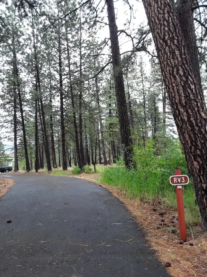 Sloway Campground (MT)