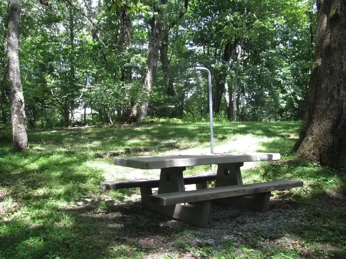 Group Site 2