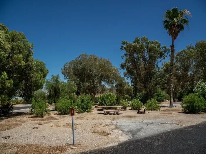 Site 1