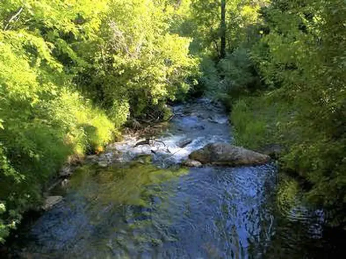 Malad Summit Campground