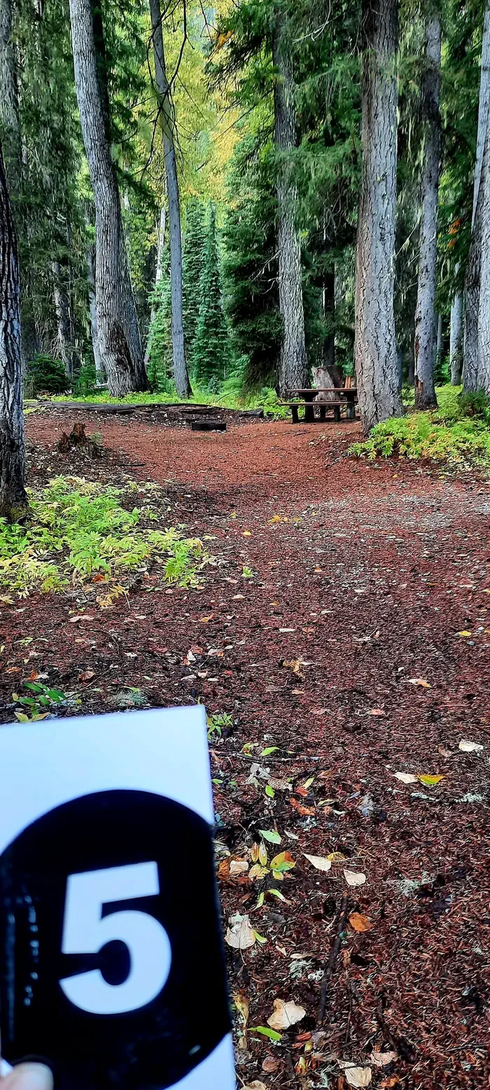 Phelps Creek Campground