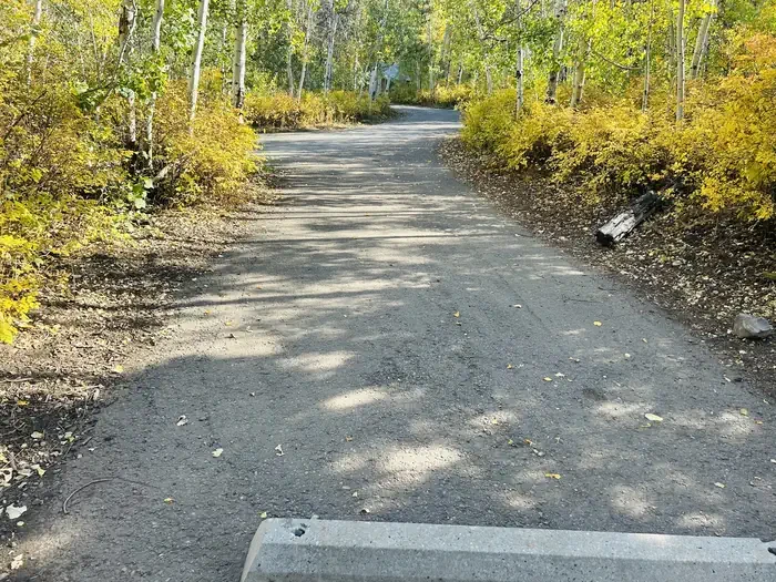 A14