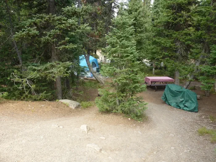 Lewis Lake site #18