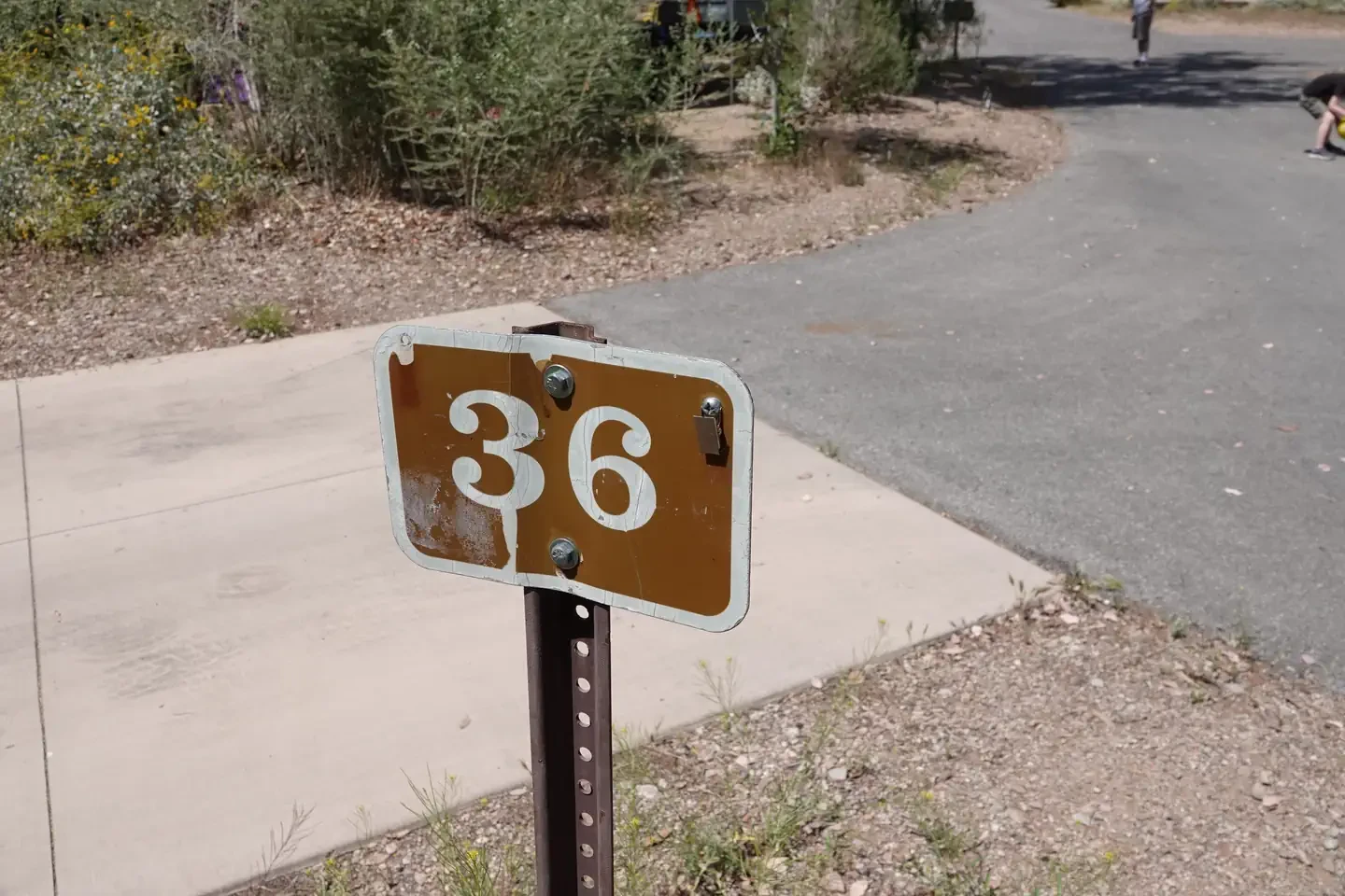 Site 36