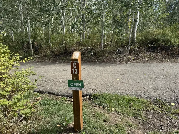 C13