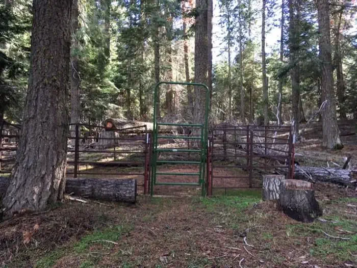 05-Equestrian Camp