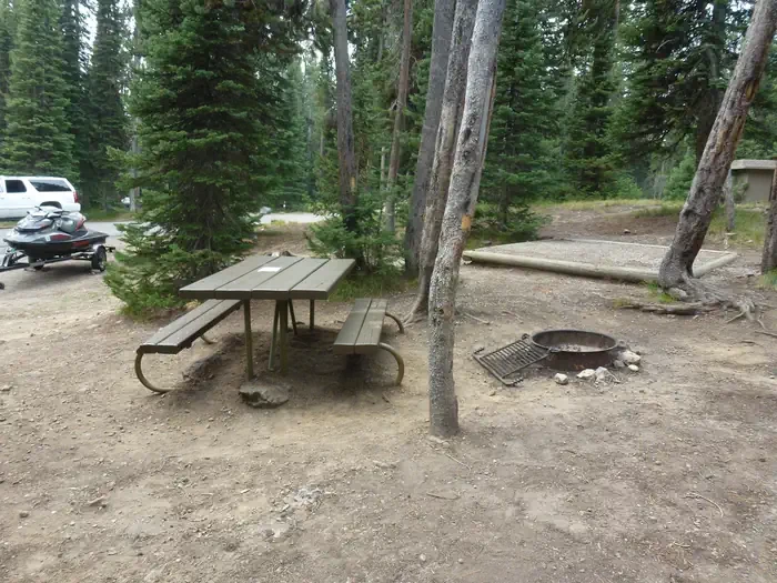 Lewis Lake site #51