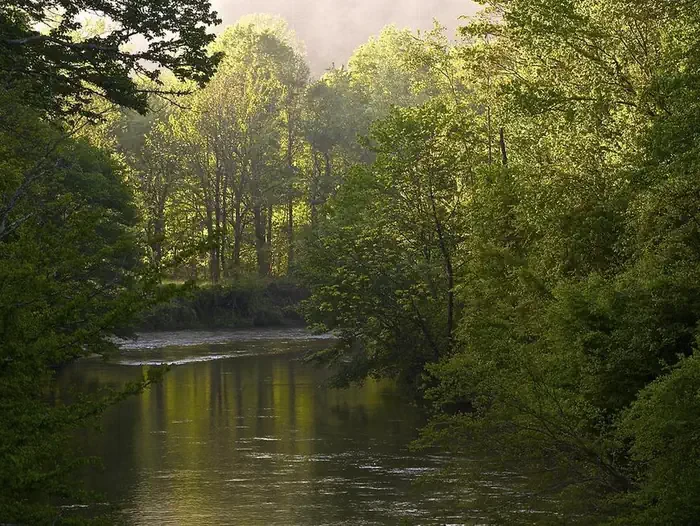 West Fork Campground (Clayton, GA)