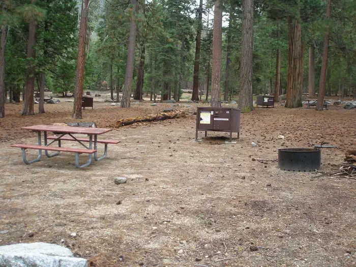 Site: 41