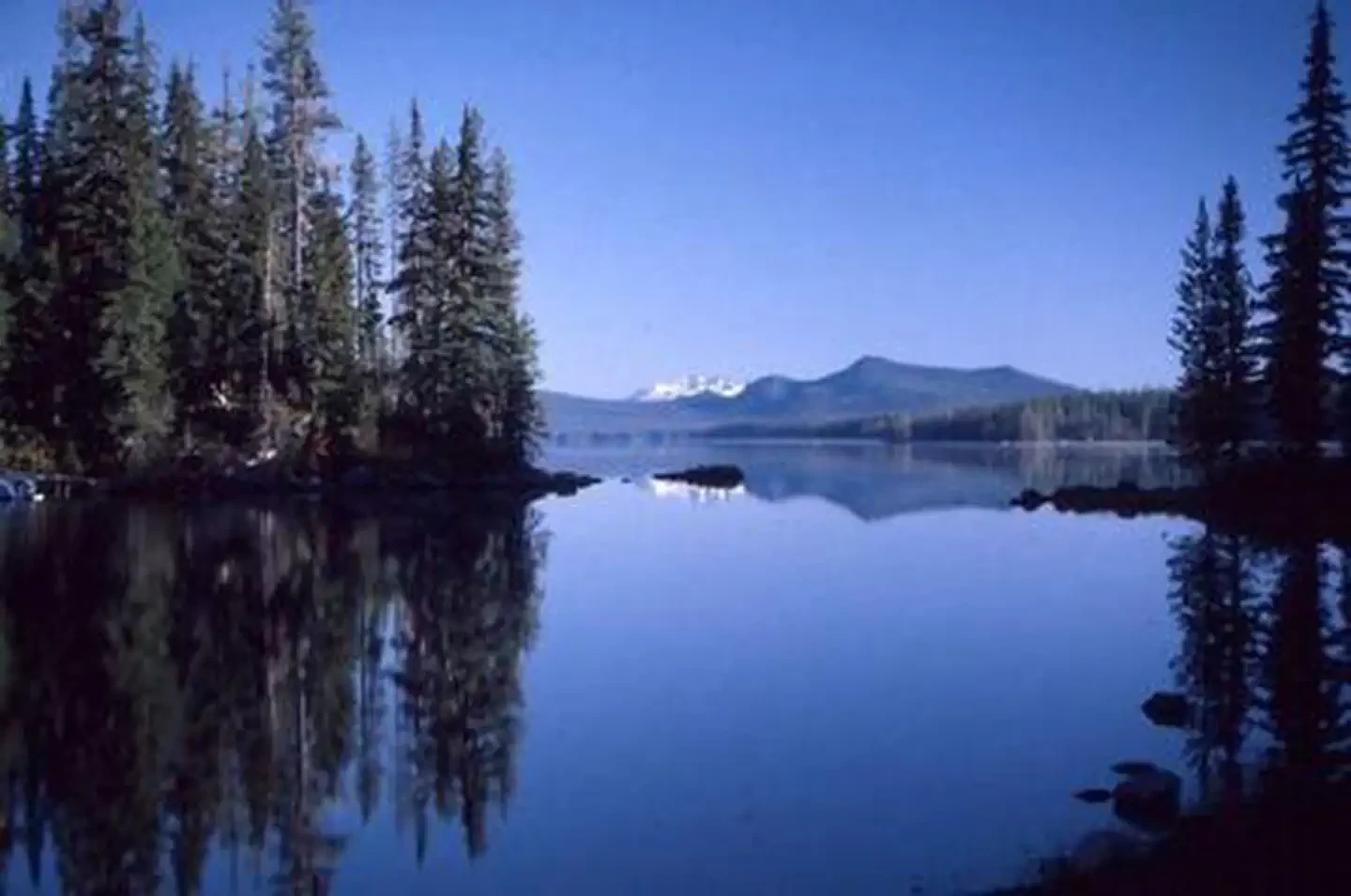 North Waldo