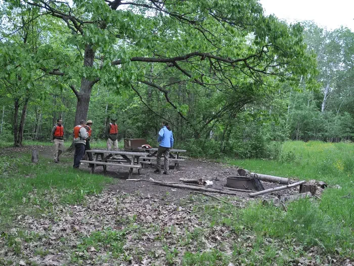 Basswood Site A