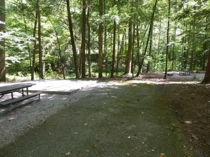 E17