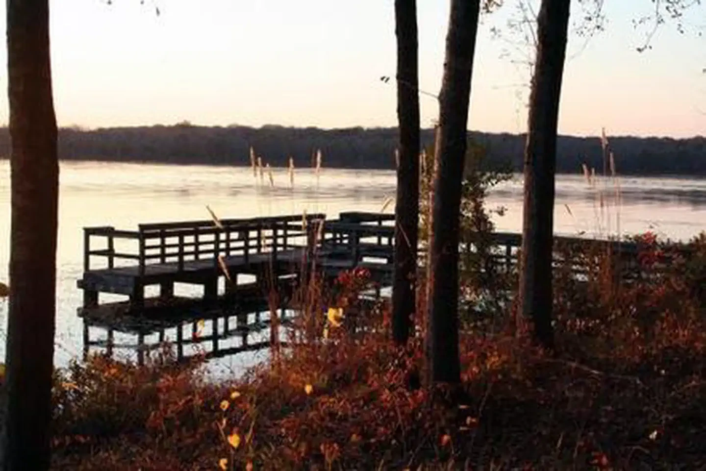 Whitten Park