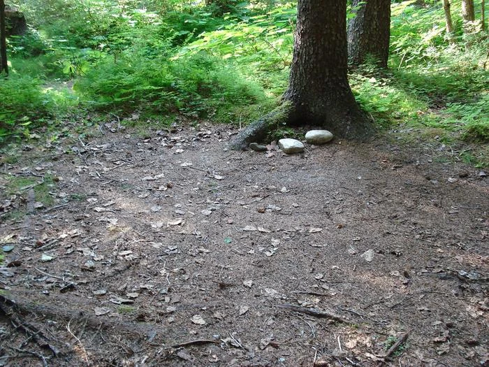 Site 6 Pleasant Camp