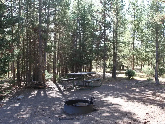 Indian Creek site #51