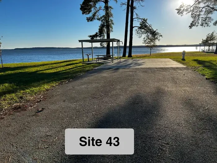 43